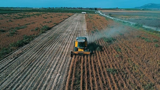 Çiftçiye 1,2 milyar liralık destek ödemesi