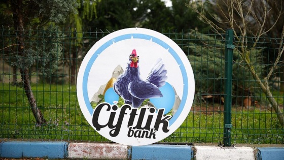 'Çiftlik Bank' davasında Mehmet Aydın'ın eşi ifade verdi