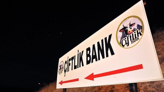 'Çiftlik Bank, sadece buz dağının görünen yüzü'