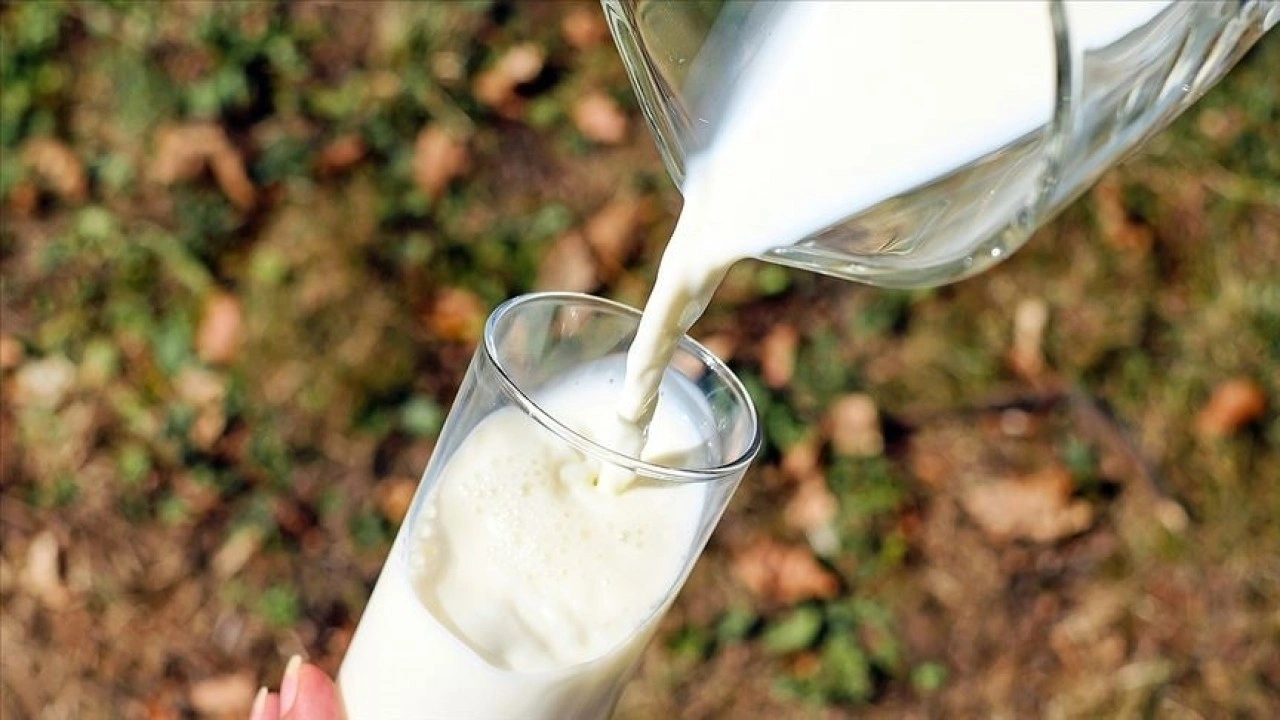 Çiğ süt primi yılın son 3 ayı için litre başına 1 lira olarak uygulanacak