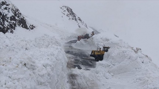 Çığın kapattığı Hakkari-Şırnak kara yolu ulaşıma açıldı