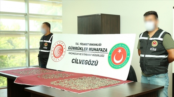 Cilvegözü Gümrük Kapısı'nda 2 bin 533 sikke ele geçirildi