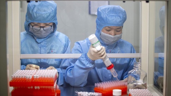 Çin'de Kovid-19 aşılarının nisanda klinik deneylere başlaması planlanıyor