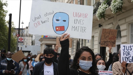 Çin'in yüz binlerce Uygur Türkü'nü pamuk tarlalarında çalışmaya zorladığı iddia edildi