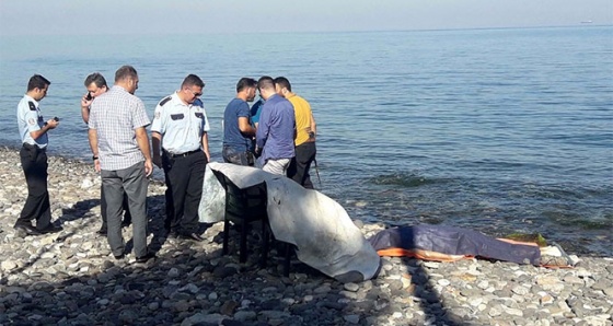 Çınarcık'ta eski Halk Eğitim Müdürü denizde ölü bulundu