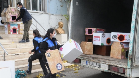 Cizre'de polis, sokak hayvanları için kedi ve köpek evleri yaptı