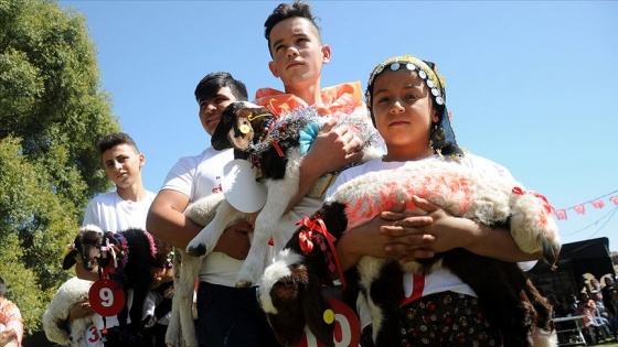 Çoban Festivali renkli görüntülere sahne oldu