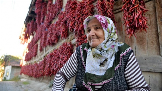 Coğrafi işaretli 'Çukurören biberi'ni kurutma mesaisi başladı