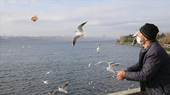 Çöpten topladığı ekmeklerle her gün kuşları besliyor