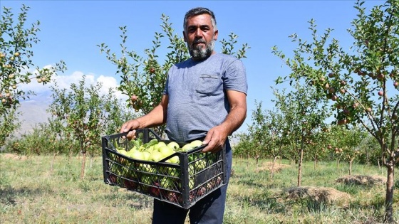 Çorak araziyi bahçeye dönüştüren esnaf tonlarca meyve yetiştiriyor