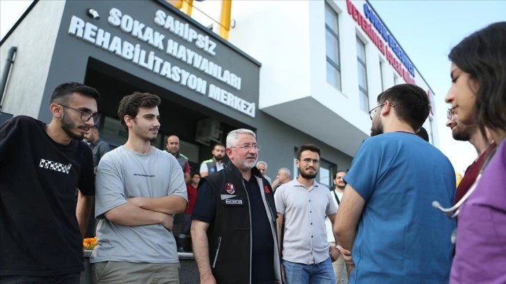 Çorum'da sahipsiz hayvanlar doğal yaşam alanlarına taşınacak