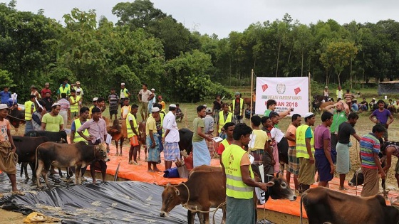 Cox's Bazar'daki Arakanlı Müslümanlara kurban yardımı