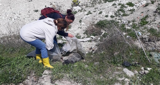 Çukura gömülü kedi ve köpek ölüleri bulundu