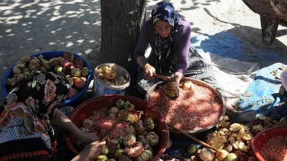 Çukurova'da kadınları nar ekşisi telaşı sardı