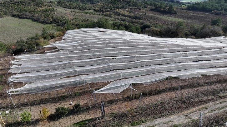 Çukurova’da tarımsal üretime "yeşil destek"