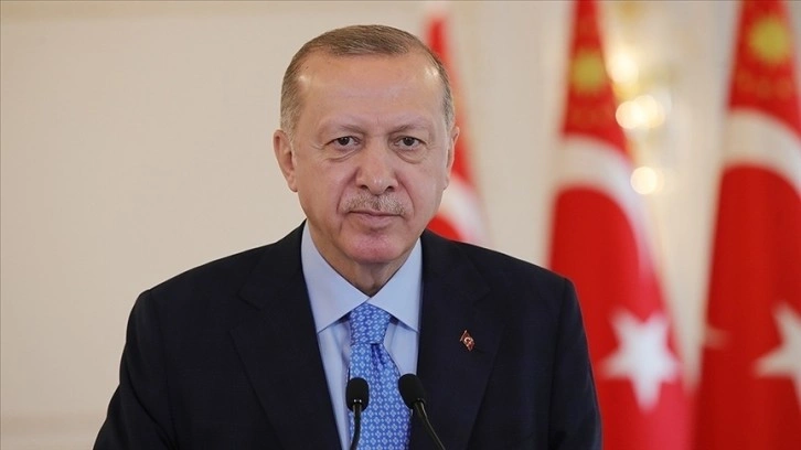 Cumhurbaşkanı Erdoğan, Avusturya Başbakanı Nehammer ile telefonda görüştü