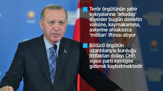 Cumhurbaşkanı Erdoğan: Muhalefetin içine düştüğü çıkmaz bizim sorumluluğumuzu daha da arttırıyor