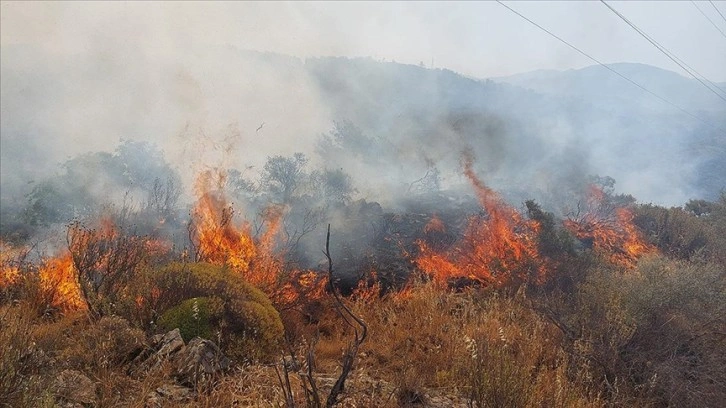 Dalaman'da orman ve makilik alanda çıkan yangın söndürüldü