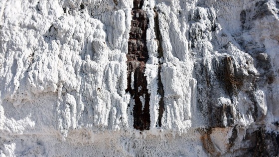 'Delice tuzu' mineral açısından zengin çıktı