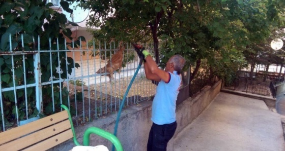 Demirlere sıkışan kediyi itfaiye kurtardı