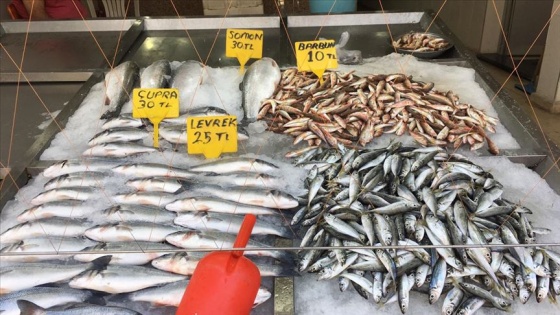 Deniz suyundaki ani soğuma balıkçının yüzünü güldürdü