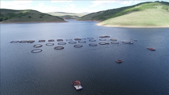 Denizi olmayan Erzurum'da üretilen alabalıklar Karadeniz'de alıcı buluyor