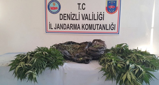 Denizli'de jandarmadan uyuşturucu operasyonu