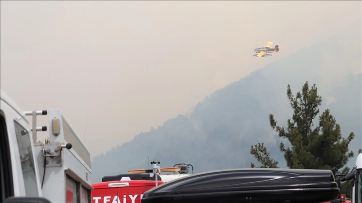 Denizli'de 7 ilçede çıkan orman yangınlarına ekiplerce müdahale ediliyor