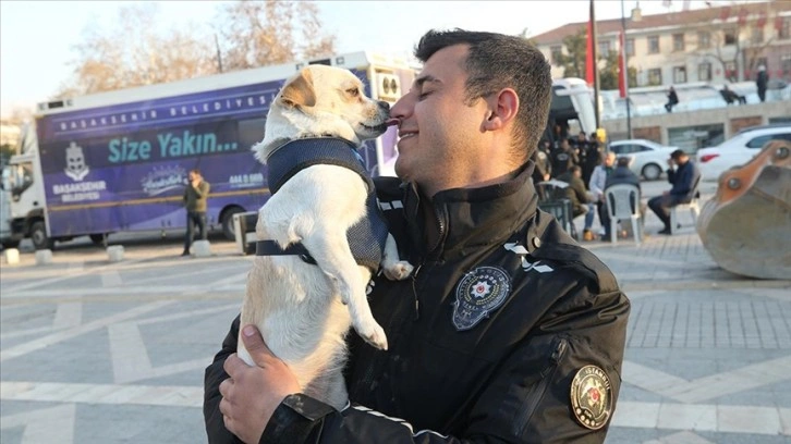 Deprem bölgesinde "Afitap" adlı köpeği çevik kuvvet sahiplendi