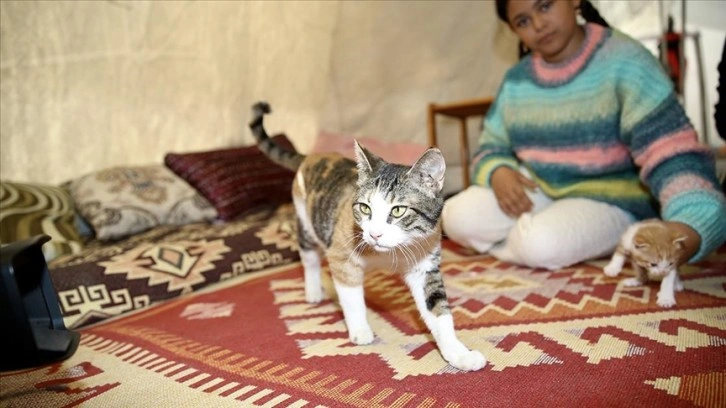 Depremzede aile enkazda doğum yapan 'Zeyna' ve yavrularını yanlarından ayırmıyor