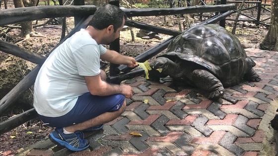 Dev kaplumbağalarıyla ünlü eski köle adası: Changuu