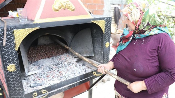 'Dikenli altın'ı geleneksel yöntemle saklıyorlar