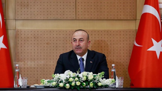 Dışişleri Bakanı Çavuşoğlu'ndan Hollanda'ya ziyaret uyarısı