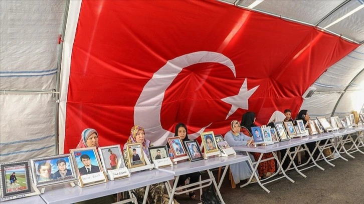 Diyarbakır annelerinden Çiftçi: Oğlum orası senin yerin değil