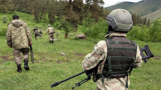 Diyarbakır'da 1 terörist yakalandı