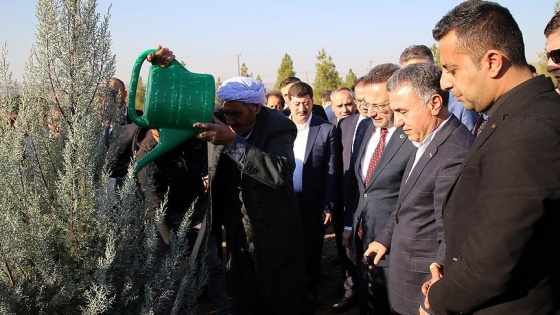 Diyarbakır'da 15 Temmuz şehitleri için hatıra ormanı