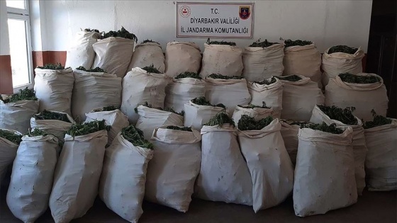 Diyarbakır'da 5 ton 81 kilogram esrar, 14 milyon 169 bin 150 kök kenevir ele geçirildi