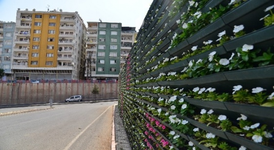 Diyarbakır’da duvarlar tabloya dönüştürülüyor