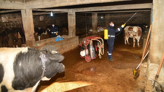 Diyarbakır'da ilaçlama çalışmaları yapılıyor