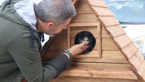 Diyarbakırlı hayvansever esnafın duyarlı davranışı takdir topluyor