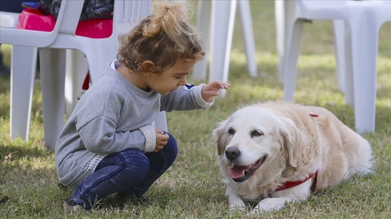 DNA araştırması köpeklerin insanoğlunun en eski hayvan dostu olduğunu gösterdi