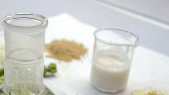 'DNA hasarına karşı kefir için'