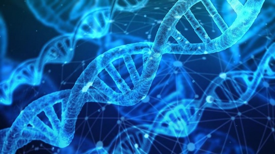 DNA, yaşama süresi hakkında ipuçları veriyor