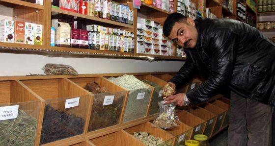 Doğal antibiyotiğe yoğun ilgi! Kapış kapış gidiyor