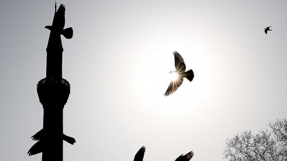 Doğu Anadolu Bölgesi'nde hava sıcaklığı düşüyor