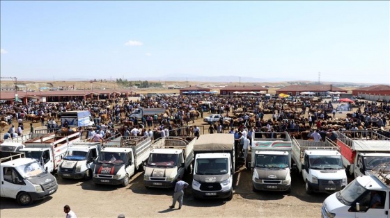 Doğu Anadolu'da kurban pazarlarında hareketlilik