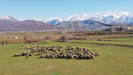 Doğu Anadolu'nun yüksek kesimlerinde iki mevsim bir arada yaşanıyor