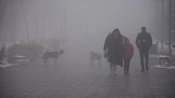 Doğu Anadolu'da kar ve sis etkili oluyor