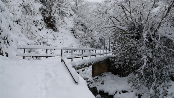 Doğu Karadeniz'de kar yağışı etkili oluyor