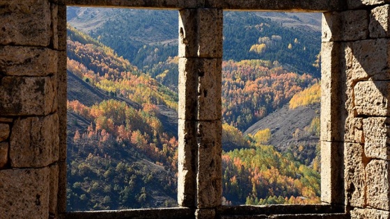 Doğu Karadeniz 'güz renkleri' ile bir başka güzel